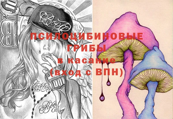амф Касимов